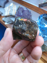 Load image into Gallery viewer, Raw: Ammolite from Alberta