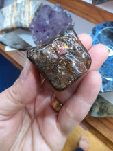 Load image into Gallery viewer, Raw: Ammolite from Alberta