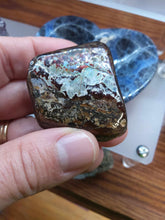 Load image into Gallery viewer, Raw: Ammolite from Alberta