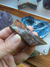 Load image into Gallery viewer, Raw: Ammolite from Alberta