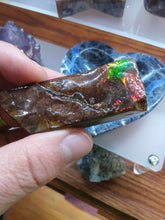 Load image into Gallery viewer, Raw: Ammolite from Alberta