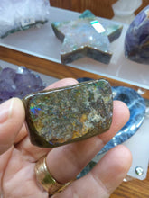 Load image into Gallery viewer, Raw: Ammolite from Alberta