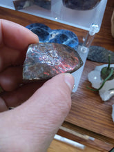 Load image into Gallery viewer, Raw: Ammolite from Alberta