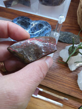 Load image into Gallery viewer, Raw: Ammolite from Alberta