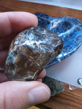 Load image into Gallery viewer, Raw: Ammolite from Alberta