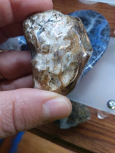 Load image into Gallery viewer, Raw: Ammolite from Alberta