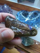 Load image into Gallery viewer, Raw: Ammolite from Alberta