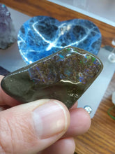 Load image into Gallery viewer, Raw: Ammolite from Alberta