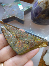 Load image into Gallery viewer, Raw: Ammolite from Alberta