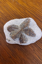 Load image into Gallery viewer, Raw: Staurolite