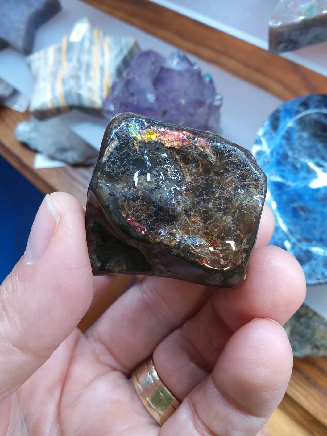Ammolite from Alberta