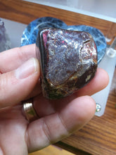 Load image into Gallery viewer, Ammolite from Alberta
